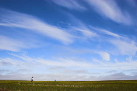 People walking in arctic tundra during polar summarの写真素材