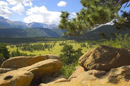 Yellow and sunny green colors of the mountains prairies forests in Cordeliers during late summer early fallの写真素材