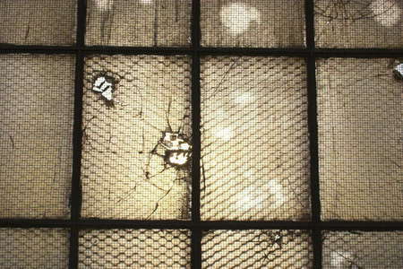 Various textures and patterns for backgrounds designの写真素材