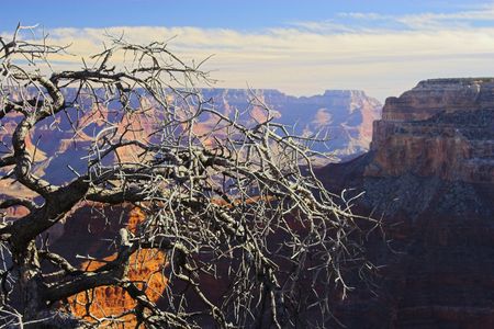 Views of the Grand Canyon on Colorado river in Arizonaの写真素材