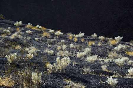 Fragment of black lava deposits in geological formations in Ubehebe Volcano, Death Valley National Parkの写真素材