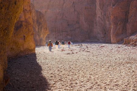Desert landscape with multicolored yellow clay and salt mineral deposits in geological formations of Death Valley National Parkの写真素材