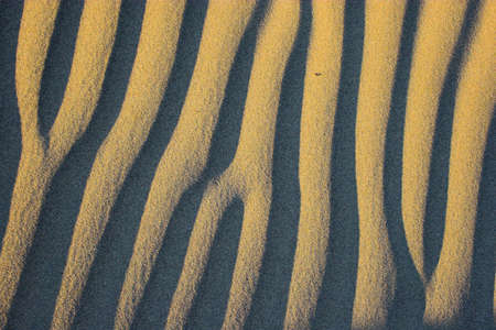 Desert sandscape with dark yellow and orange sand dune deposits in geological formations of Death...