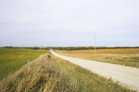 Roads in countryside surrounded by colorful fields and meadows