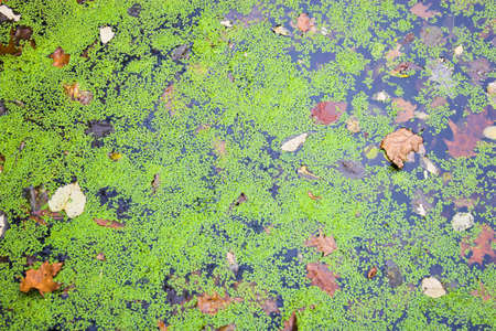 Various textures and patterns for backgrounds designの写真素材