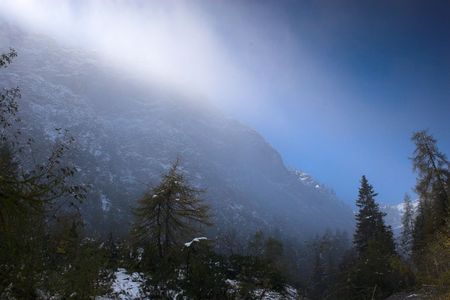 Snowy mountain and trees in Alp region of Austria