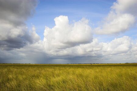 White clouds on the blue sky and field of grassの写真素材