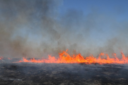 Prescribed prairie burn on the Great Plains in Nebraska