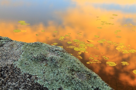 Lake shore fragment with beautiful reflections
