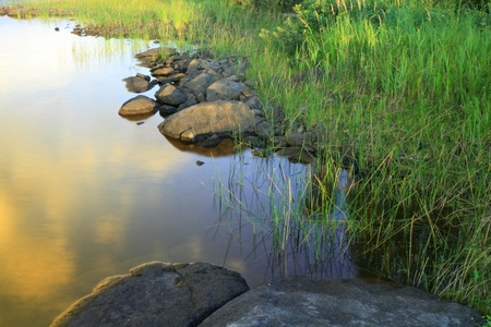 Lake shore fragment with beautiful reflectionsの写真素材