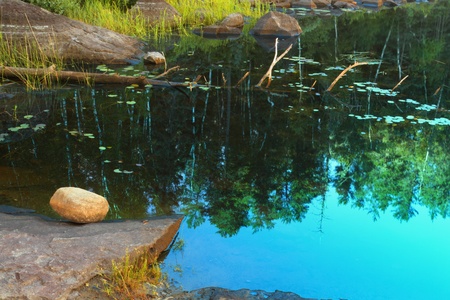 Lake shore fragment with beautiful reflectionsの写真素材