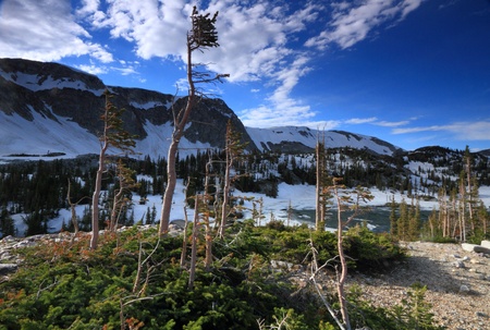 Landscapes in the Snowy Range Mountains of Wyomingの写真素材
