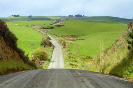 Country road in Catlins, New Zealand