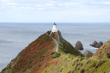 Beautiful view along path to Nugget Point Lighthouse, Otago Coast, New Zealandの写真素材