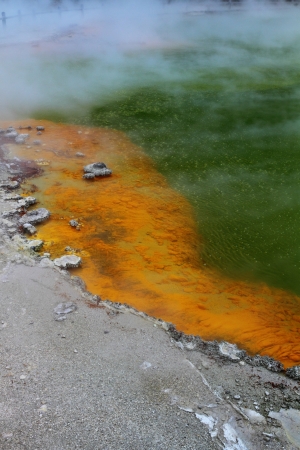 Beautiful colors and textures of the hot spring in Rotorua, New Zealandの写真素材