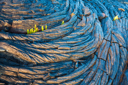 Amazing old lava pattern and new fern growing through it in Hawaii Volcanoes National Park, Big Island, Hawaiiの写真素材