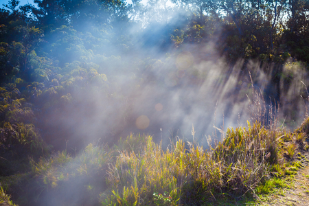 Sulfur gas vents along the trail in Hawaii Volcanoes National Park, Big Island, Hawaiiの写真素材