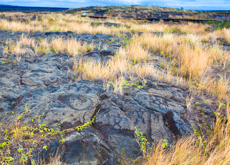 Ancient petroglyphs on lava along the trail in Hawaii Volcanoes National Park, Big Islandの写真素材