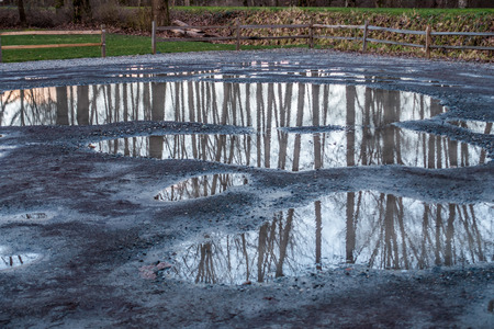 Bare trees are reflected in puddles in Kent, Washington.