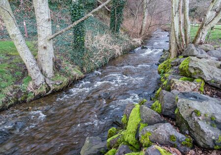 A stream rushes toward the Puget Sound at Saltwater State Park in Washington State.の写真素材