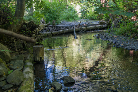 Vew of Des Moines Creek in Des Moines, Washington.