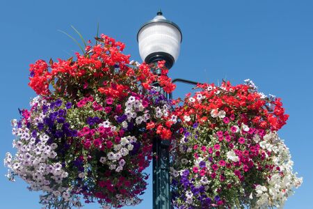 Colorful flower baskets hang from a streetlamp.の写真素材