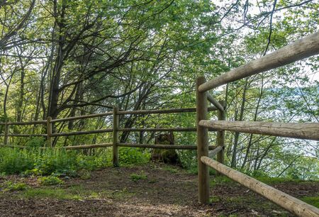 A view of a wooden fence at Dash Point State Park in Washington State.の写真素材