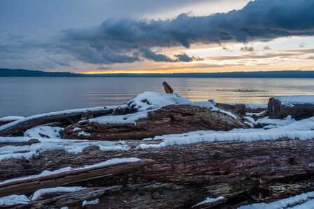 Snow covers driftwood on shore of the Puget Sound in Washington State.の写真素材