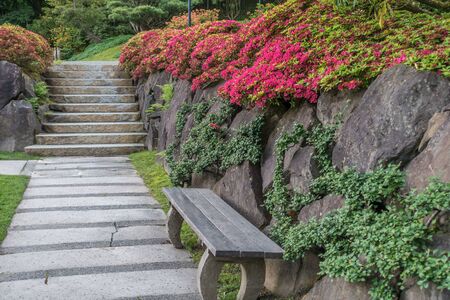 A walkway is in front of a rock wall with flowers at a seattle garden.の写真素材