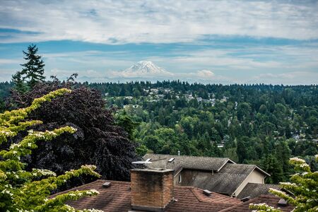A view of Mount Rainier from Burien, Washington.の写真素材
