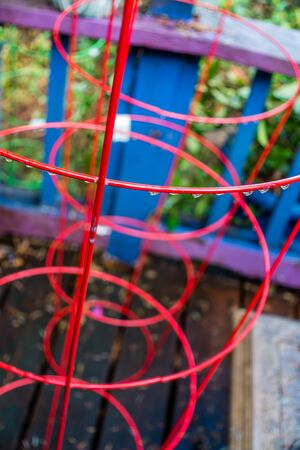 Red plant cages create and abstract image.の写真素材