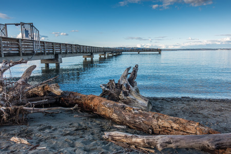 A view of a pile of driftwood and the pier at Dash Point, Washington.の写真素材