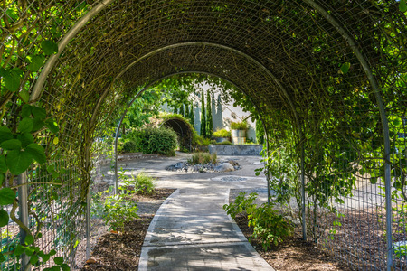 A view of arbors in a courtyard in Seatac, Washington.の写真素材