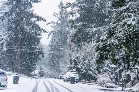 A snow storm begins in Burien, Washington.の写真素材
