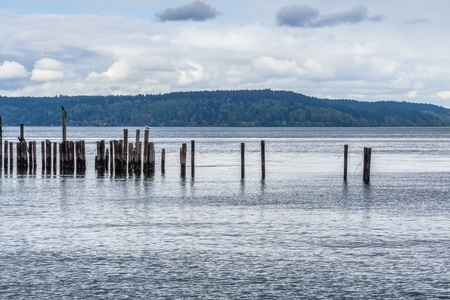 A view of decaying pilings along the shore in Ruston, Washington near Tacoma.
