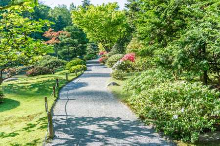 A view of a walkway in a garden in Seattle, Washington. It is springtime.の写真素材