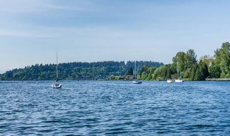 Sailboats are anchored on Lake Washington in Renton, Washington.
