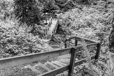 Steps lead from a trail to a platform over a stream at Flaming Geyser State Park in Washington...