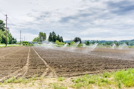 Sprinklers spray over a field that has recently been planted in Kent, Washington.