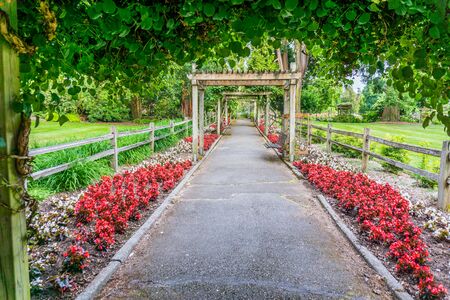 A view of flowers and walkway at the rose garden in Point Defiance Park in Tacoma, Washington.の写真素材