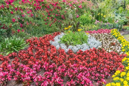 A view of a lawn and flower garden at Point Defiance Park in Tacoma, Washington.の写真素材