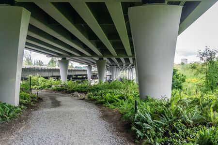Under the highway at the Seattle Arboretum.の写真素材