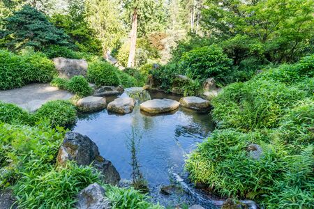 Large rock steps lead across a pond in Renton, Washington.の写真素材