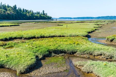 Grass mounds and mud flats at the Nisqually Wetlands near Olympia, Washington.の写真素材