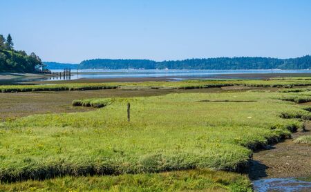 The Nisqually River flows past mud flats in the Nisqually Wetlands near Olympia, Washington.の写真素材