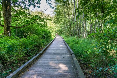 A boardwalk at the Nisqually Wetlands in Washington State.
