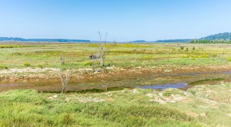 A deep gully at the Nisqually Wetlands near Olympia, Washington.の写真素材