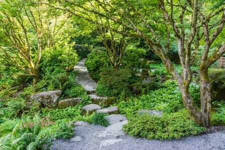 A garden path with rocks in Bellevue, Washington.の写真素材