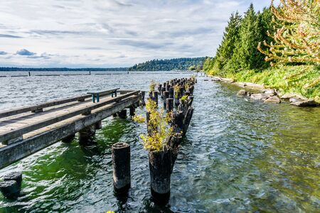 A view of the shoreline at Gene Coulon Park in Renton, Washington.