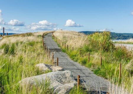 A path leads toward the sky at Dund Peninsula Park in Tacoma, Washington.